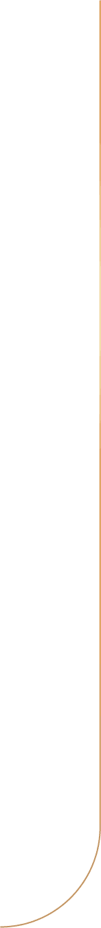 slider line left.png