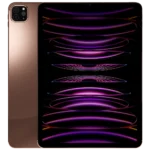 Rose Gold iPad Pro WiFi Cellular.webp