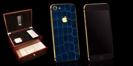 Crocodile Glossy2.jpg