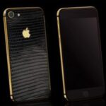 ip7 lizard black 320x200 1 1.jpg